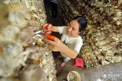 最新！福州区县经济实力排名 今年杀出一匹黑马，农产品零售成新赛道