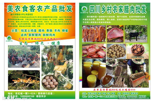 自然馈赠，新鲜直达——品味田野的纯净之味